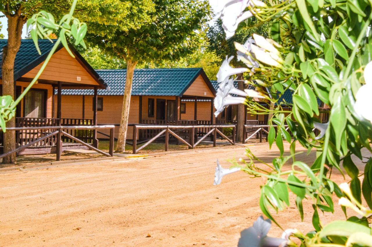 Camping La Aldea เอลโรซิโอ ภายนอก รูปภาพ