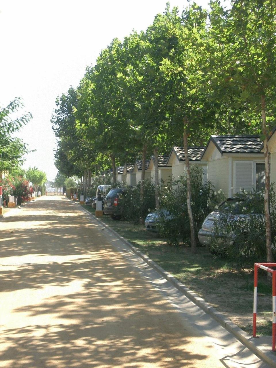 Camping La Aldea เอลโรซิโอ ภายนอก รูปภาพ