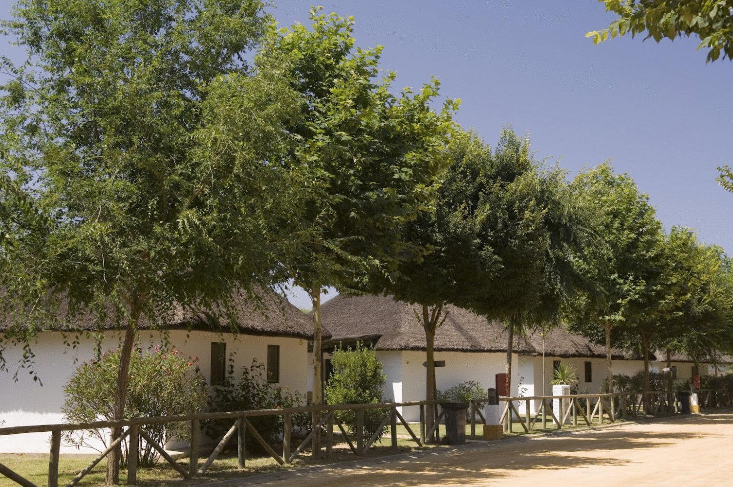 Camping La Aldea เอลโรซิโอ ภายนอก รูปภาพ